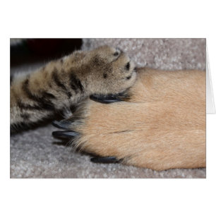Best Friends Forever by Shirley Taylor