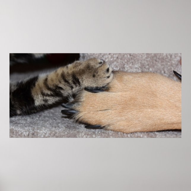 Best Friends Forever by Shirley Taylor Poster (Front)