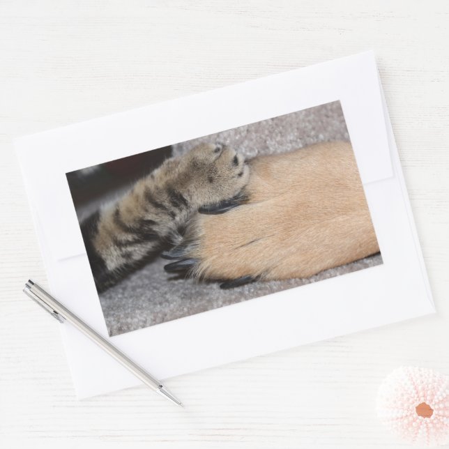 Best Friends Forever by Shirley Taylor Rectangular Sticker (Envelope)