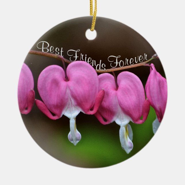 Best Friends Forever Ceramic Ornament (Front)