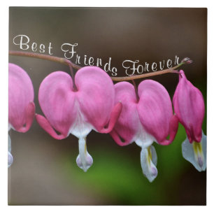 Best Friends Forever Ceramic Tile