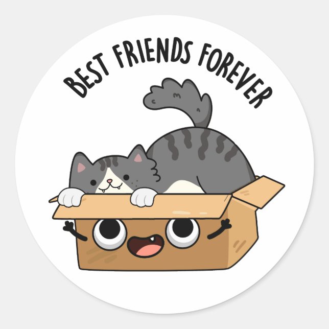 Best Friends Forever Funny Cat And Box Pun  Classic Round Sticker (Front)