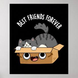 Best Friends Forever Funny Cat And Box Pun Dark BG Poster