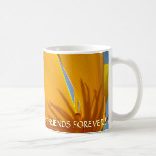 BEST FRIENDS FOREVER Gift Mug POPPIES Flowers