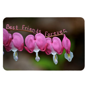 Best Friends Forever Hearts Magnet