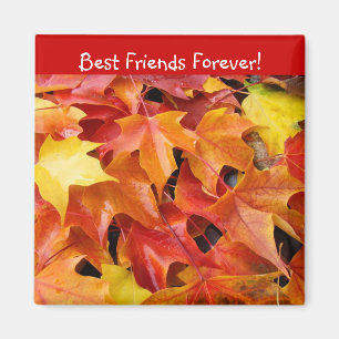 Best Friends Forever! magnet Colourful Fall Leaves
