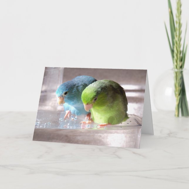Best Friends Forever Parrotlet Birds Greeting Card (Front)