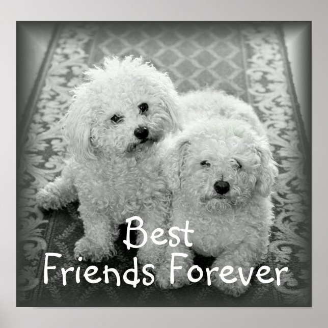 Best Friends Forever Poster Print (Front)