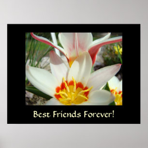 BEST FRIENDS FOREVER! Tulip Flowers Art Prints