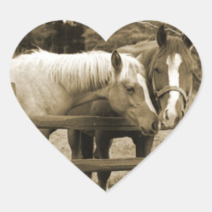 Best Friends Heart Sticker