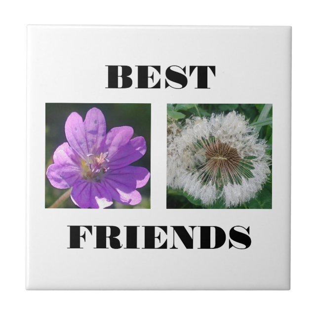 Best Friends Image Template Ceramic Tile (Front)