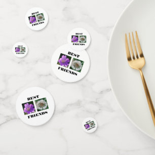 Best Friends Image Template Confetti