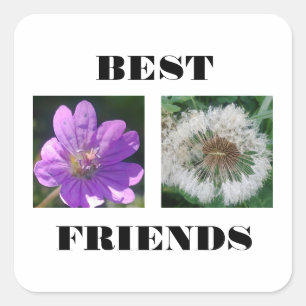Best Friends Image Template Square Sticker