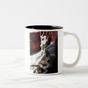 "Best Friends" italian greyhound photo Two-Tone Coffee Mug