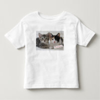 Best Friends Kittens Mug