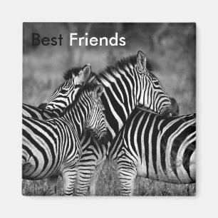 Best Friends Magnet