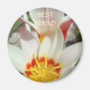 BEST FRIENDS MAGNET Tulip Flowers Magnets Gifts