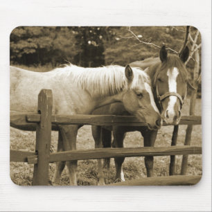 Best Friends Mouse Pad