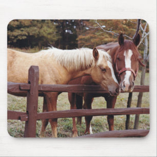 Best Friends Mouse Pad