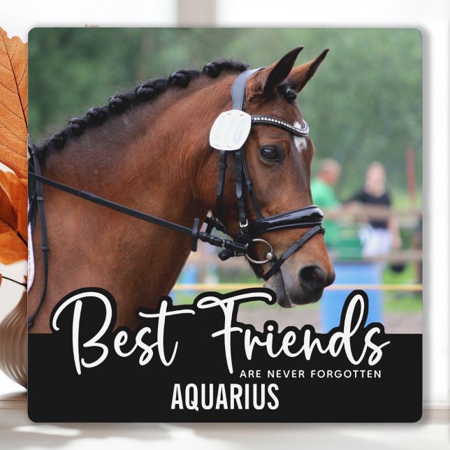 Best Friends Never Forgotten Horse Pet Memorial Plaque (Creator Uploaded)