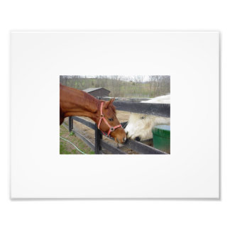 Best Friends Photo Print