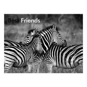 Best Friends Photo Print