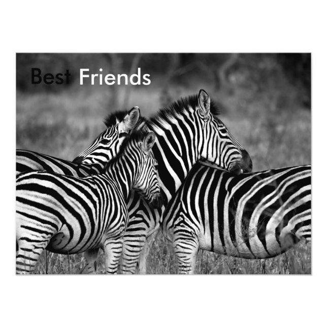 Best Friends Photo Print (Front)