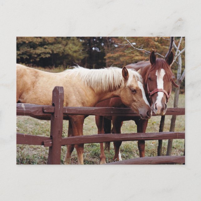 Best Friends Postcard (Front)