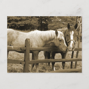 Best Friends Postcard