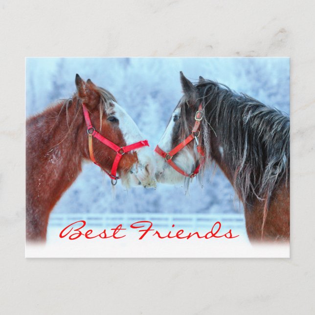 Best Friends Postcard (Front)