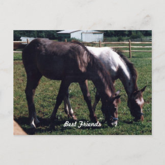 Best Friends Postcard