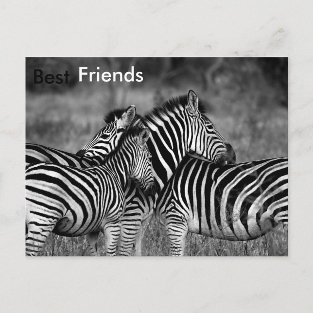 Best Friends Postcard (Front)