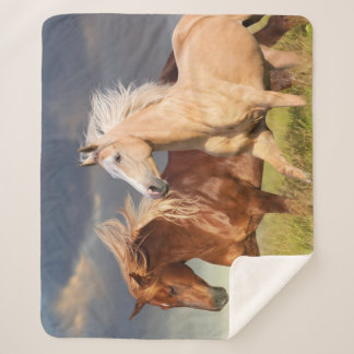 Best Friends Sherpa Blanket