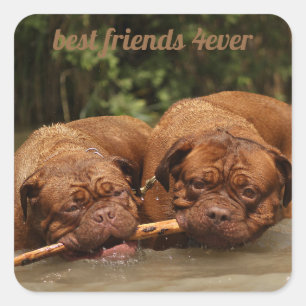Best Friends Square Sticker