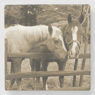 Best Friends Stone Coaster
