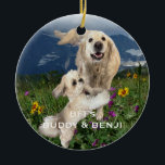 Best Friends Two Dogs in Field of Flowers BFFs Ceramic Ornament<br><div class="desc">This custom holiday ornament has a photo of two cute dogs, one big white retriever (Buddy) and one small Shih Tzu (Benji) romping in a field of flowers. They really are Best Friends Forever (BFFs)! Sample has same photo and text on front and back - however you can use different...</div>