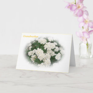 Best Grandmother Ever Mother's Day Card