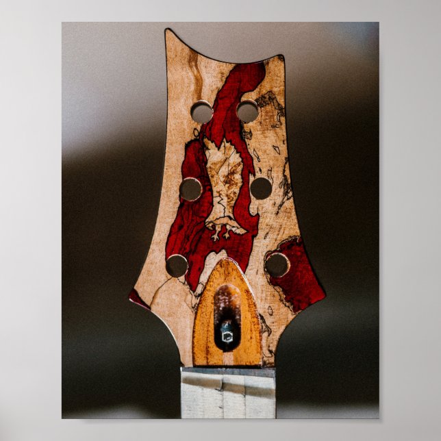 Best Guitarist Ever Poster (Front)