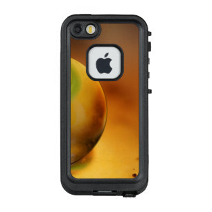 Best LifeProof FRÄ’ iPhone SE/5/5s Case