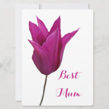 Best Mom pretty pink tulip simple floral elegant