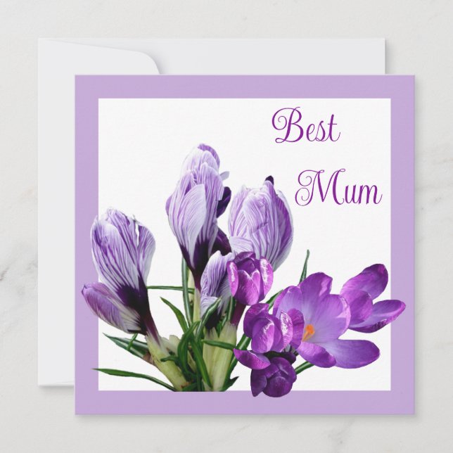 Best Mom pretty purple crocus colorful floral  Card (Front)