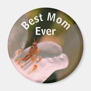 Best Mum Ever Grasshopper On Azalea Flower Magnet