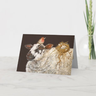 Best Nest card