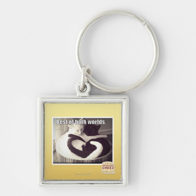 Best of both worlds. key ring (Front)