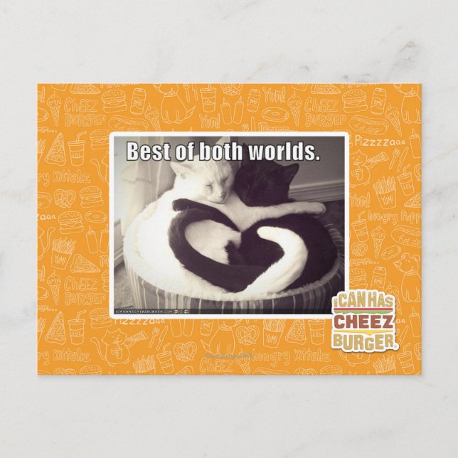 Best of both worlds. postcard (Front)