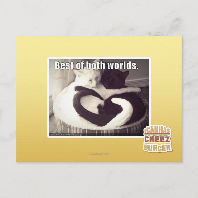 Best of both worlds. postcard (Front)