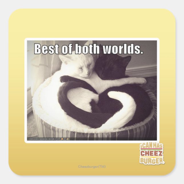 Best of both worlds. square sticker (Front)