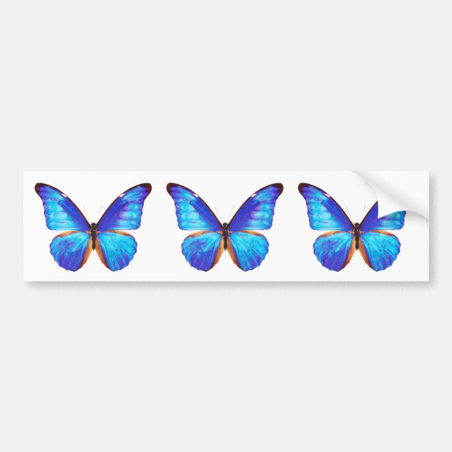 Best-of-Breed "Morpho" Bumper Sticker (Front)