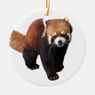 Best-of-Breed "Red Panda" Ceramic Ornament
