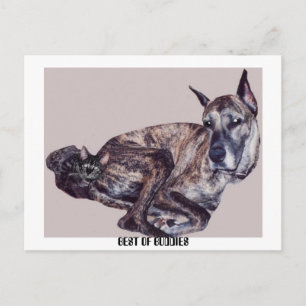 BEST OF BUDDIES POSTCARD
